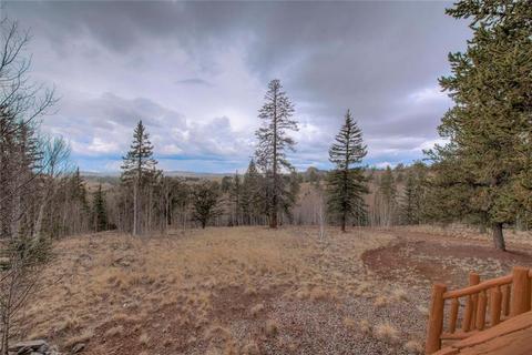864 Ouray Trl, Como, CO 80432 photo 25