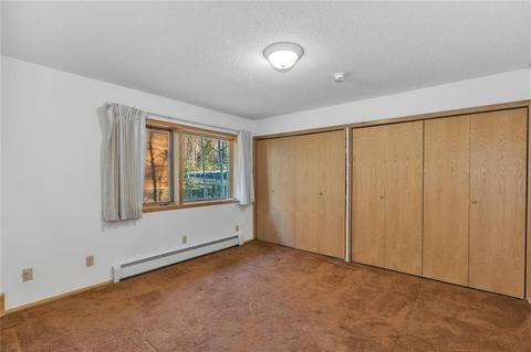 152 Thimbleberry Way, Silverthorne, CO 80498 photo 15
