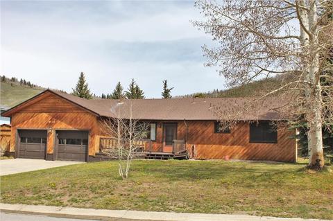 393 Big Elk Rd, Dillon, CO 80435 photo 1