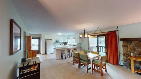 393 Big Elk Rd, Dillon, CO 80435 photo 8