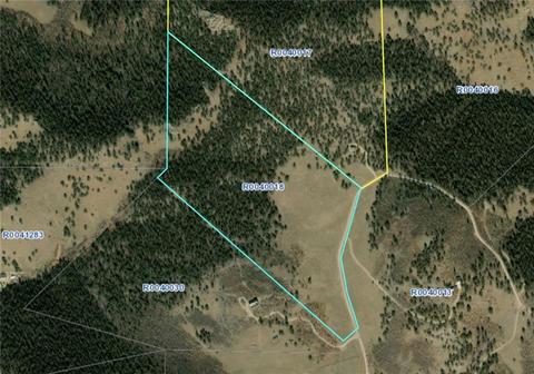 717 Reinecker Ct, Fairplay, CO 80432 photo 15