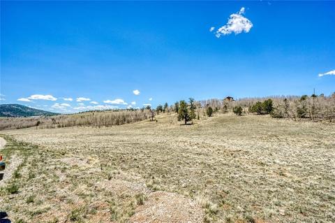 717 Reinecker Ct, Fairplay, CO 80432 photo 12