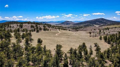 717 Reinecker Ct, Fairplay, CO 80432 photo 9