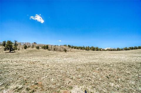 717 Reinecker Ct, Fairplay, CO 80432 photo 13