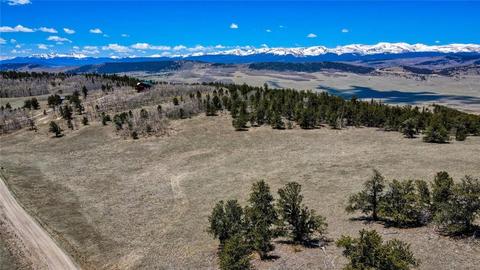 717 Reinecker Ct, Fairplay, CO 80432 photo 1