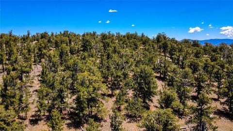 717 Reinecker Ct, Fairplay, CO 80432 photo 10
