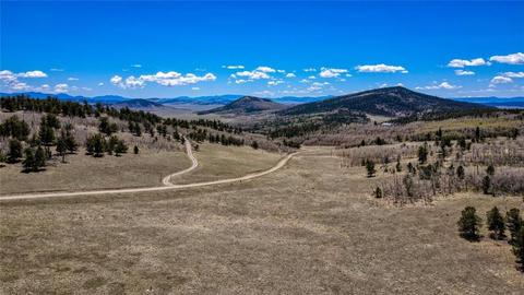 717 Reinecker Ct, Fairplay, CO 80432 photo 8