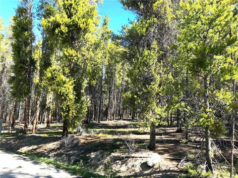 997 Ruby Ln, Leadville, CO 80461 photo 4