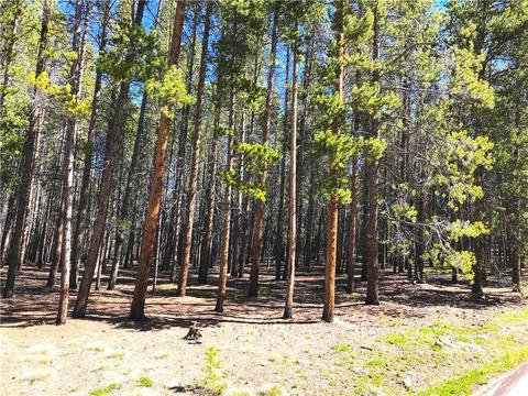 997 Ruby Ln, Leadville, CO 80461 photo 2