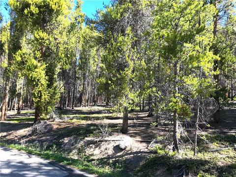 997 Ruby Ln, Leadville, CO 80461 photo 3