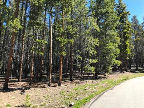 997 Ruby Ln, Leadville, CO 80461 photo 1