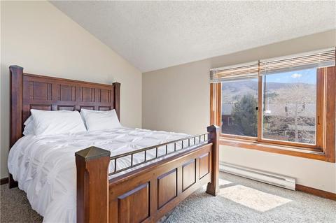 207 E Fox Ct, Silverthorne, CO 80498 photo 24