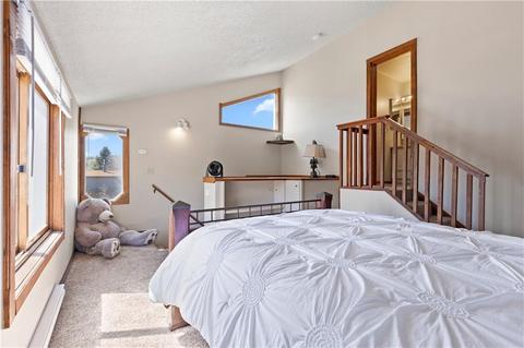 207 E Fox Ct, Silverthorne, CO 80498 photo 26