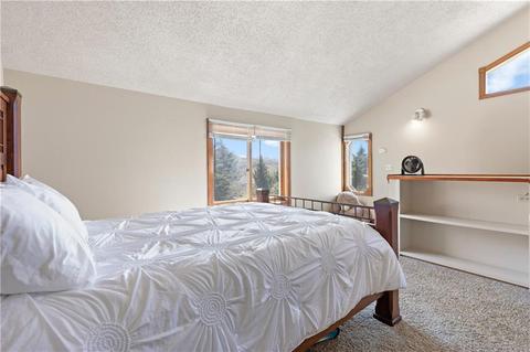207 E Fox Ct, Silverthorne, CO 80498 photo 25