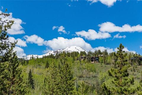325 Kestrel Ln, Silverthorne, CO 80498 photo 10