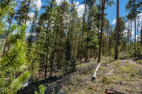 325 Kestrel Ln, Silverthorne, CO 80498 photo 5