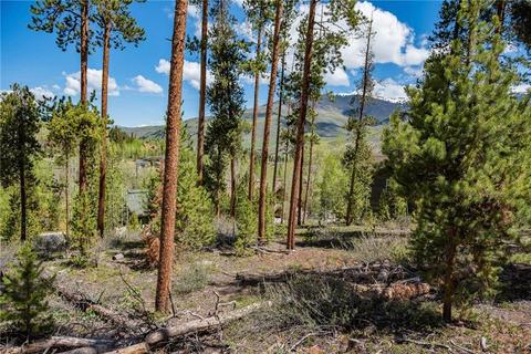325 Kestrel Ln, Silverthorne, CO 80498 photo 8