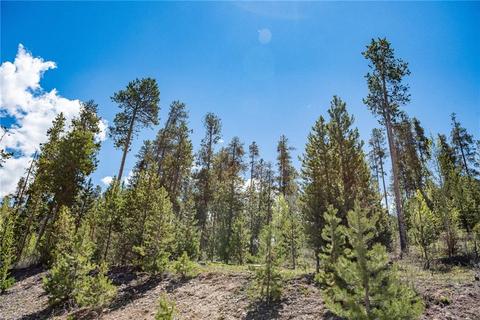 325 Kestrel Ln, Silverthorne, CO 80498 photo 11