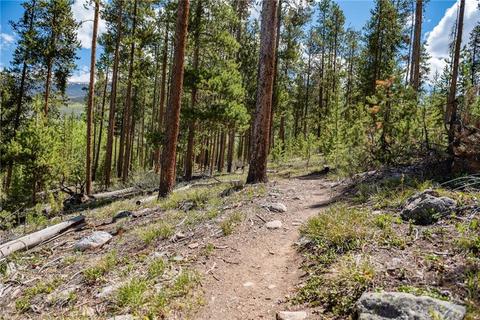 325 Kestrel Ln, Silverthorne, CO 80498 photo 6