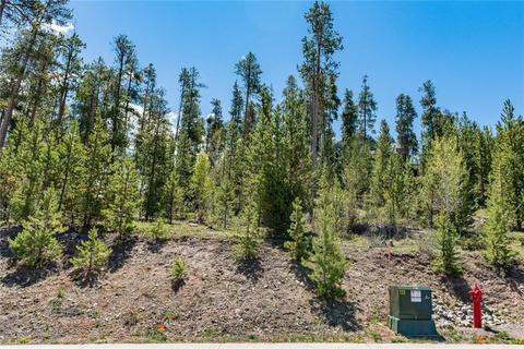 325 Kestrel Ln, Silverthorne, CO 80498 photo 3