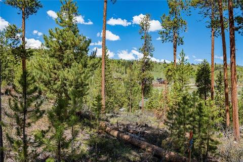 325 Kestrel Ln, Silverthorne, CO 80498 photo 7