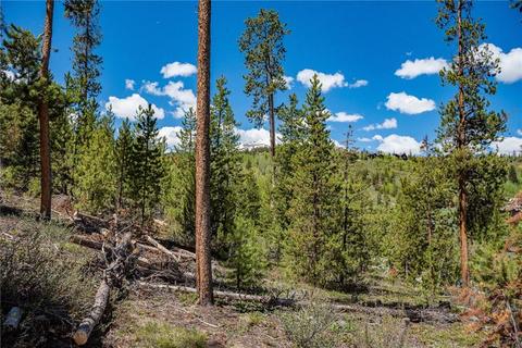 325 Kestrel Ln, Silverthorne, CO 80498 photo 9
