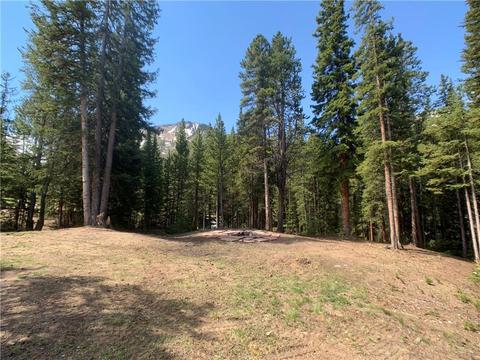5234 Montezuma Rd, Montezuma, CO 80435 photo 2