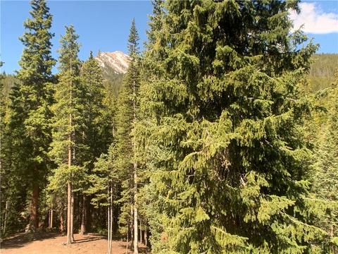 5234 Montezuma Rd, Montezuma, CO 80435 photo 19