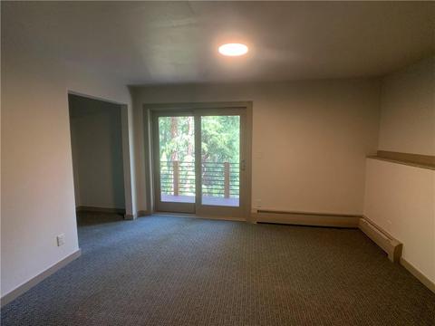 5234 Montezuma Rd, Montezuma, CO 80435 photo 20