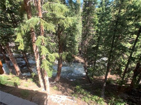 5234 Montezuma Rd, Montezuma, CO 80435 photo 3