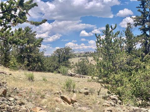 395 Buckhorn Rd, Como, CO 80432 photo 8