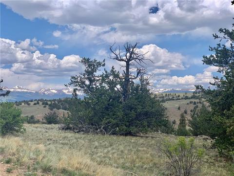 395 Buckhorn Rd, Como, CO 80432 photo 16