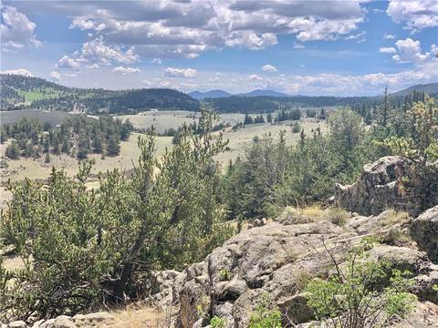 395 Buckhorn Rd, Como, CO 80432 photo 18