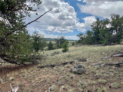 395 Buckhorn Rd, Como, CO 80432 photo 3