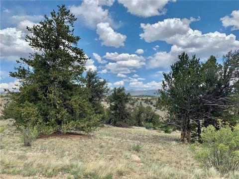 395 Buckhorn Rd, Como, CO 80432 photo 23