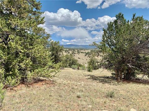 395 Buckhorn Rd, Como, CO 80432 photo 6
