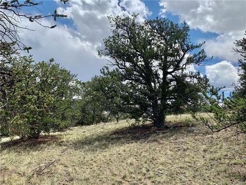 395 Buckhorn Rd, Como, CO 80432 photo 17