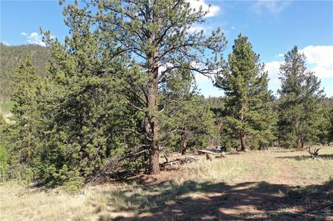 1744 Ute Trl, Como, CO 80432 photo 1