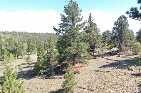 1744 Ute Trl, Como, CO 80432 photo 15