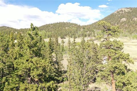 1744 Ute Trl, Como, CO 80432 photo 12