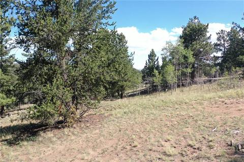 1744 Ute Trl, Como, CO 80432 photo 3