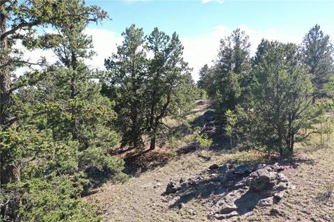 1744 Ute Trl, Como, CO 80432 photo 10