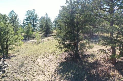 1744 Ute Trl, Como, CO 80432 photo 7