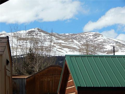 43 Singleton Rd, Alma, CO 80420 photo 32