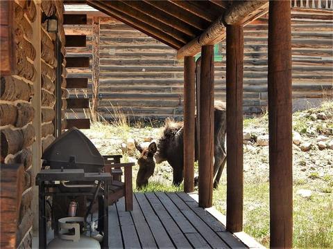 43 Singleton Rd, Alma, CO 80420 photo 30