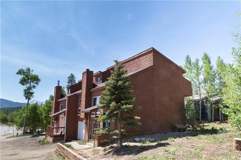 782 Ryan Gulch Rd, Silverthorne, CO 80498 photo 2
