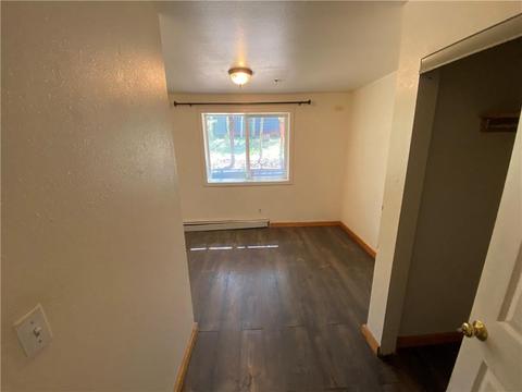 782 Ryan Gulch Rd, Silverthorne, CO 80498 photo 17