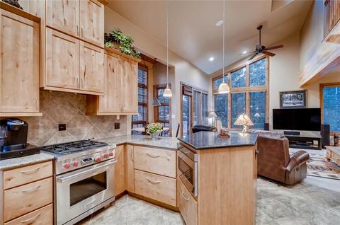 19 Raindance Trl, Dillon, CO 80435 photo 4