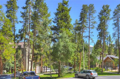 800 Columbine Dr #C 4, Breckenridge, CO 80424 photo 26