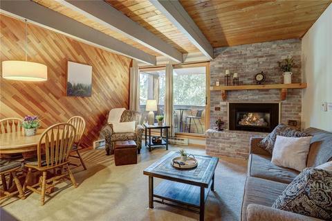 800 Columbine Dr #C 4, Breckenridge, CO 80424 photo 4